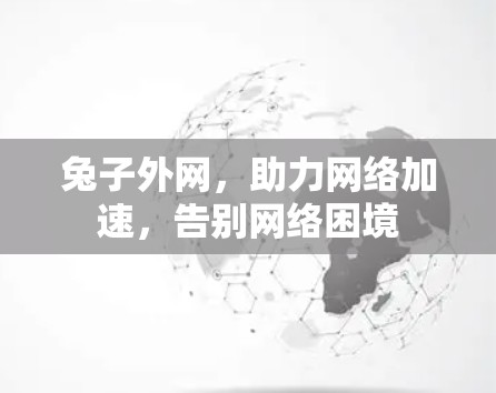 兔子外网，助力网络加速，告别网络困境