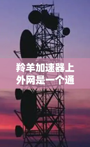 羚羊加速器上外网是一个通过互联网连接到羚羊加速器服务的云加速平台，用户可以通过该平台上传自己的加速器，提升车辆的性能。以下是关于该系统的详细信息