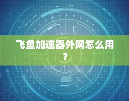 飞鱼加速器外网怎么用？