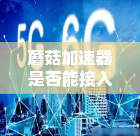 蘑菇加速器是否能接入上外网，取决于多个因素