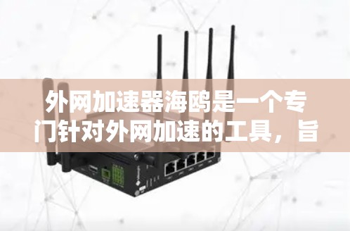 外网加速器海鸥是一个专门针对外网加速的工具，旨在提升用户在无外网环境下的网页加载速度。以下是对其功能和使用流程的详细分析