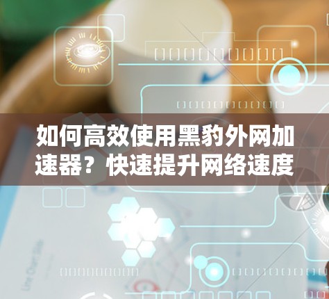 如何高效使用黑豹外网加速器?快速提升网络速度的实用指南 如何高效使用黑豹外网加速器?快速提升网络速度的实用指南