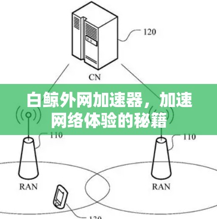 白鲸外网加速器,加速网络体验的秘籍 白鲸外网加速器,加速网络体验的秘籍