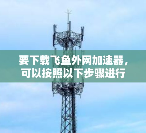 要下载飞鱼外网加速器,可以按照以下步骤进行 要下载飞鱼外网加速器,可以按照以下步骤进行