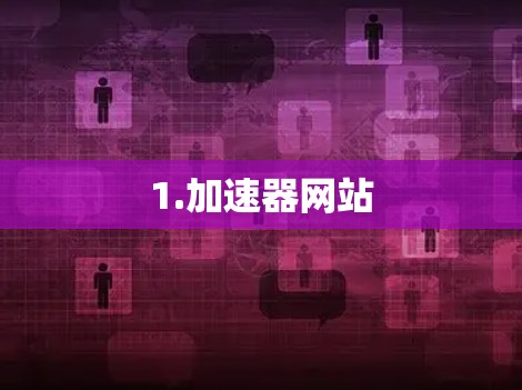 1.加速器网站