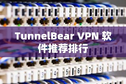 TunnelBear VPN 软件推荐排行