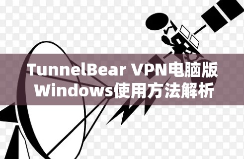 TunnelBear VPN电脑版 Windows使用方法解析