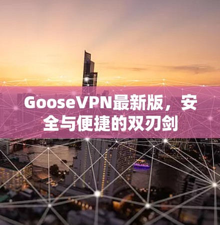 GooseVPN最新版，安全与便捷的双刃剑