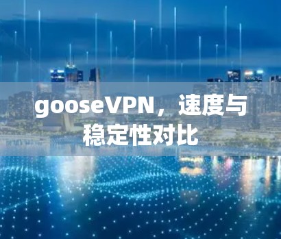 gooseVPN，速度与稳定性对比