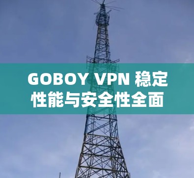 GOBOY VPN 稳定性能与安全性全面解析