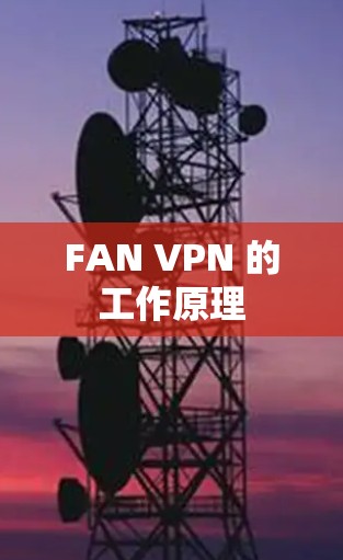 FAN VPN 的工作原理