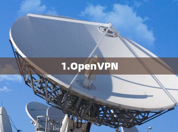 1.OpenVPN