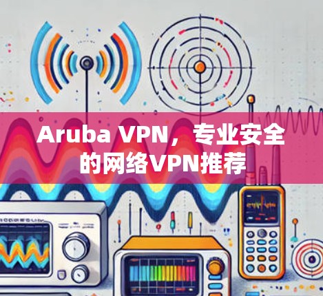 Aruba VPN，专业安全的网络VPN推荐