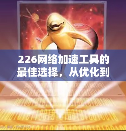 226网络加速工具的最佳选择，从优化到定制
