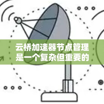 云桥加速器节点管理是一个复杂但重要的过程，涉及多个方面和步骤。以下是对该过程的分步说明