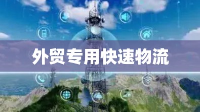 外贸专用快速物流