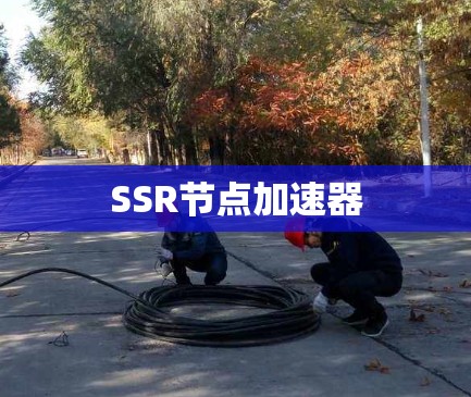 SSR节点加速器