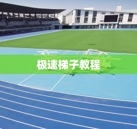 极速梯子教程