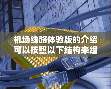 机场线路体验版的介绍可以按照以下结构来组织内容，确保逻辑清晰、重点突出