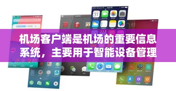 机场客户端是机场的重要信息系统，主要用于智能设备管理，如电子收费系统、信息管理系统和电子行李管理系统。以下是详细的使用步骤和注意事项