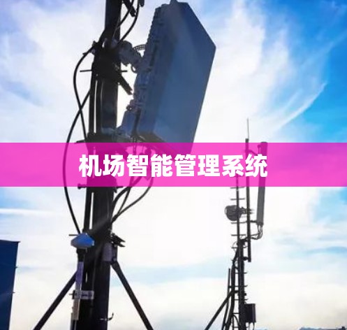 机场智能管理系统