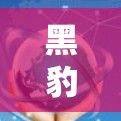 黑豹VPN最新版下载入口