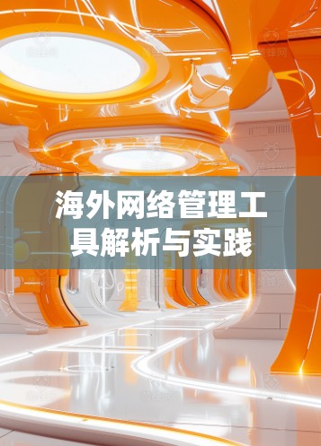 海外网络管理工具解析与实践