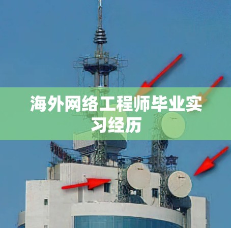 海外网络工程师毕业实习经历
