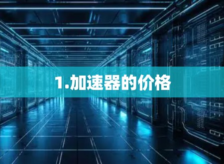 1.加速器的价格