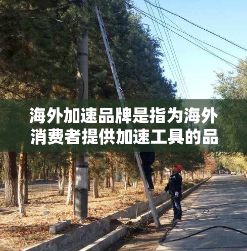 海外加速品牌是指为海外消费者提供加速工具的品牌，通常用于汽车保养、电子设备维护等场合。这些品牌通常设计以适应国际市场需求，注重性能、耐用性和易用性。以下是一些海外加速品牌